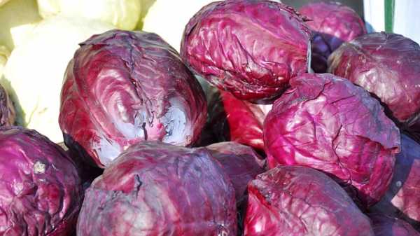 Quais alimentos comer ou cortar para prevenir câncer de mama